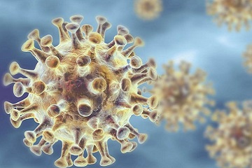 Corona-Virus-Darstellung, Adobe Stocck Foto